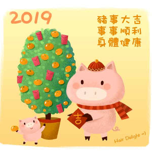 有關2019農曆新年的假期安排