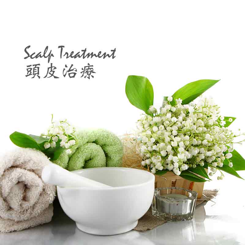 Hair Delight 頭皮治療服務全面升級